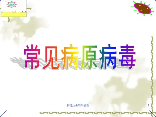 动物微生物常见病原病毒PPT课件