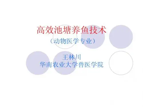 高效池塘养鱼技术