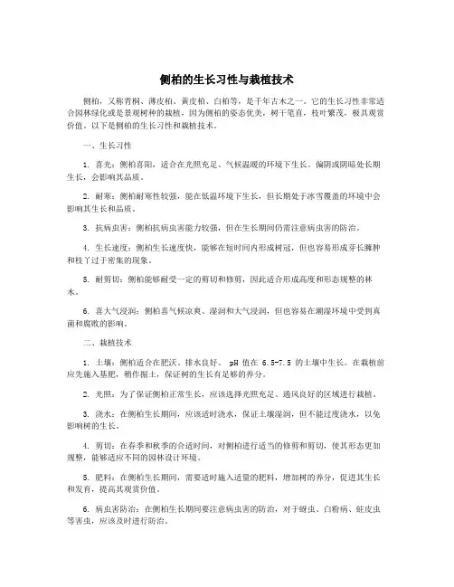 侧柏的生长习性与栽植技术