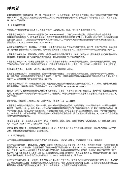 呼吸链——精选推荐
