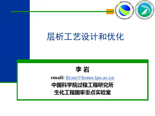 层析工艺设计以及优化1