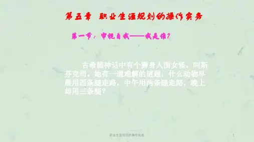 职业生涯规划的操作实务课件