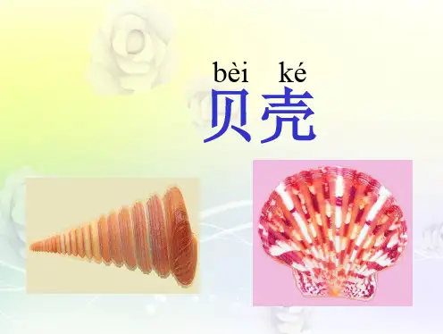 (沪教版)二年级语文上册课件 拾贝壳 2.