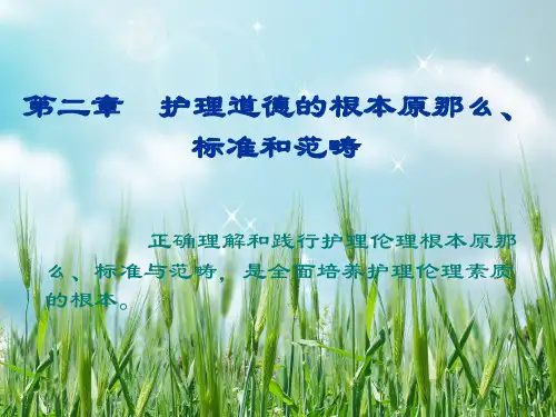 护理伦理学的基本原则、规范与范畴(精品)幻灯片PPT