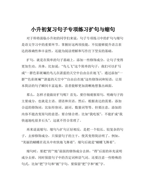 小升初复习句子专项练习扩句与缩句