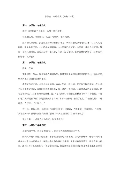 小学生二年级作文(合集12篇)