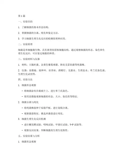 微生物细菌实验报告(3篇)