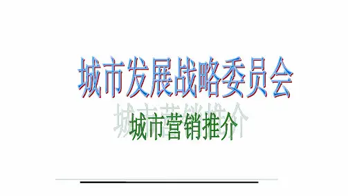 城市营销案例