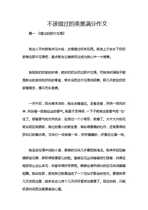 不该错过的美景满分作文