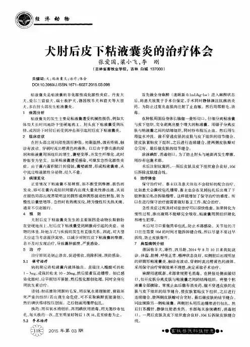 犬肘后皮下粘液囊炎的治疗体会