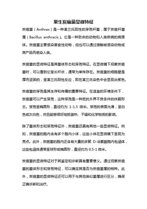果生炭疽菌显微特征