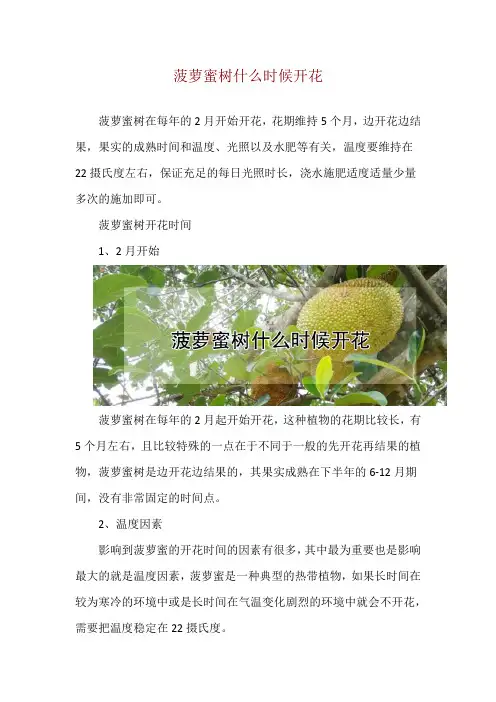 菠萝蜜树什么时候开花
