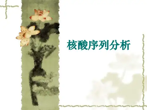 核酸序列分析ppt课件