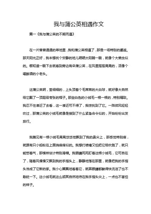我与蒲公英相遇作文