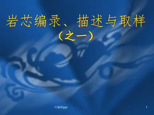 岩芯的地质编录与取样精讲ppt课件