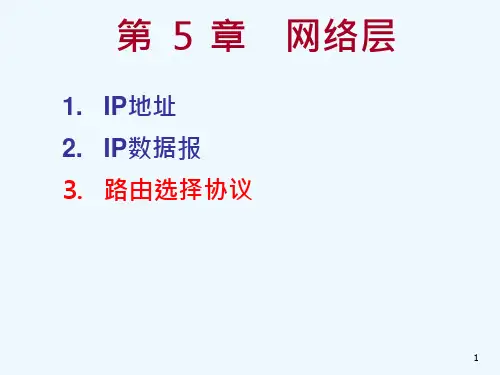 网络层(路由选择协议)课件