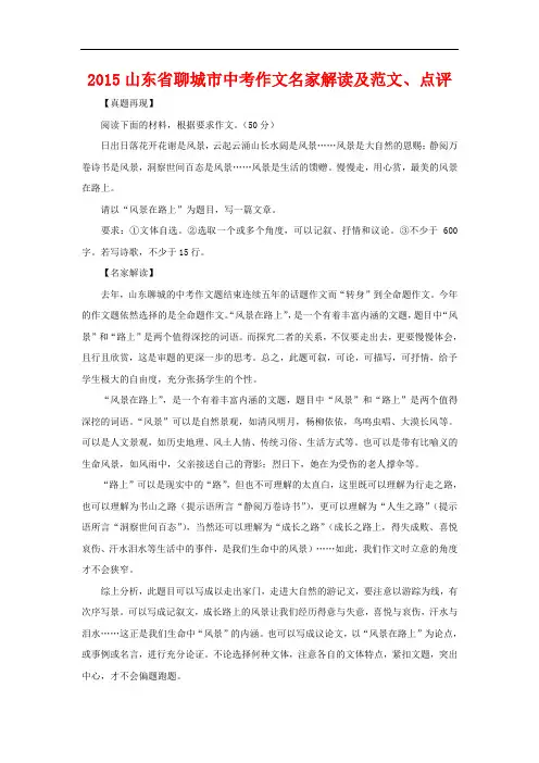 2015年山东省聊城市中考作文名家解读及范文、点评(Word版)