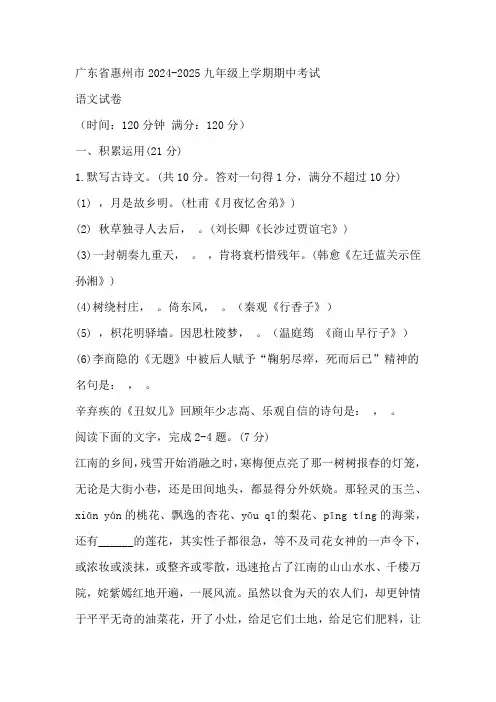 广东省惠州市2024-2025学年九年级上学期期中考试语文试题(含答案)