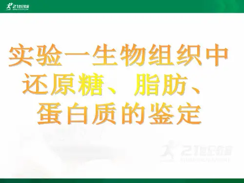 实验1生物组织中可溶性还原糖、脂肪、蛋白质的鉴定课件