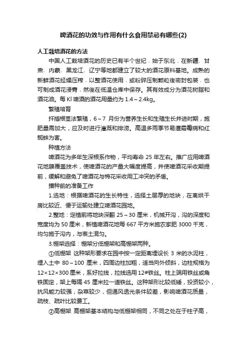 啤酒花的功效与作用有什么食用禁忌有哪些（2）