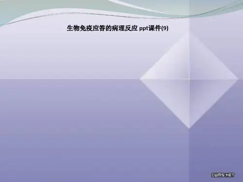 生物免疫应答的病理反应 
