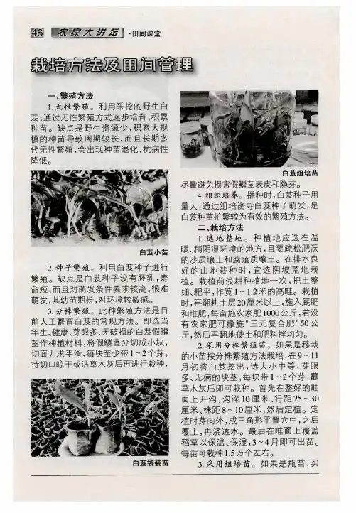 栽培方法及田间管理