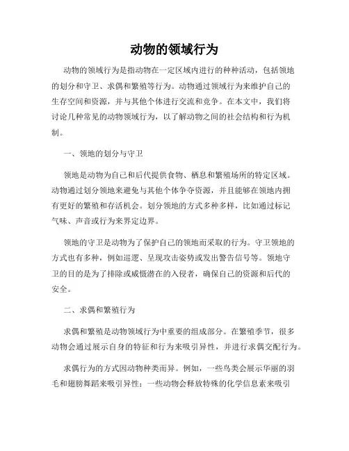 动物的领域行为