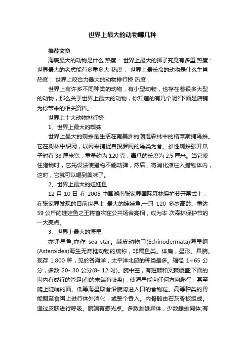 世界上最大的动物哪几种