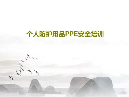 个人防护用品PPE安全培训44页PPT
