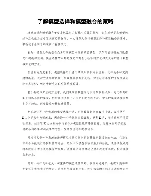 了解模型选择和模型融合的策略