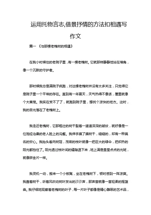 运用托物言志,借景抒情的方法扣相遇写作文