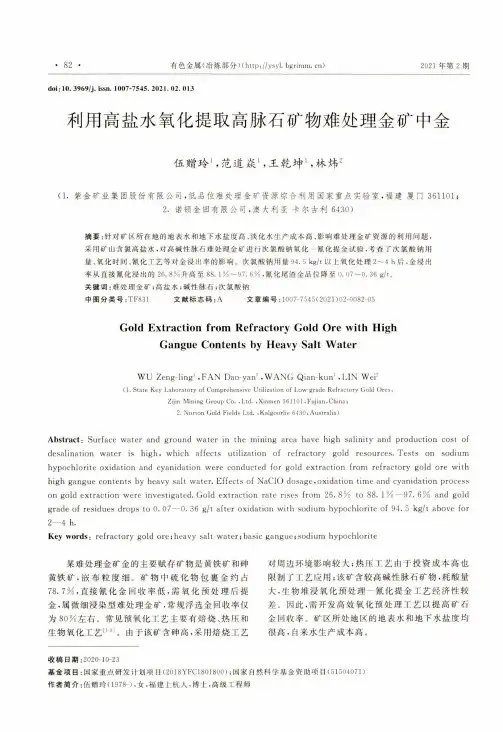 利用高盐水氧化提取高脉石矿物难处理金矿中金