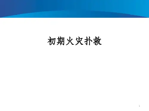 初期火灾处置ppt课件