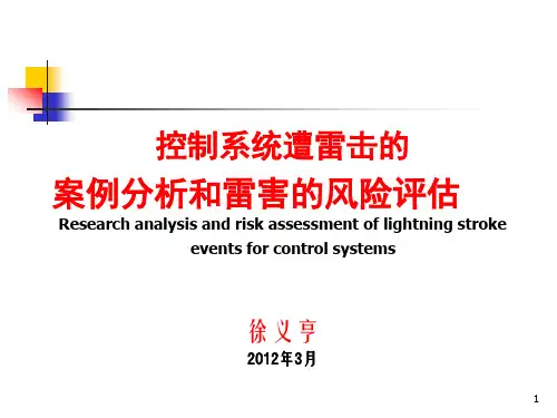 第42章案例和风险评估.pptx