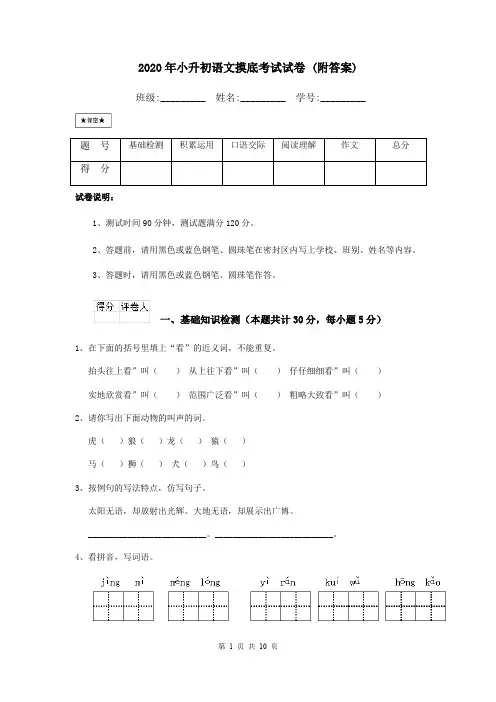 2020年小升初语文摸底考试试卷 (附答案)
