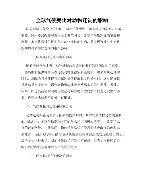 全球气候变化对动物迁徙的影响