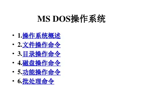 MS DOS操作系统