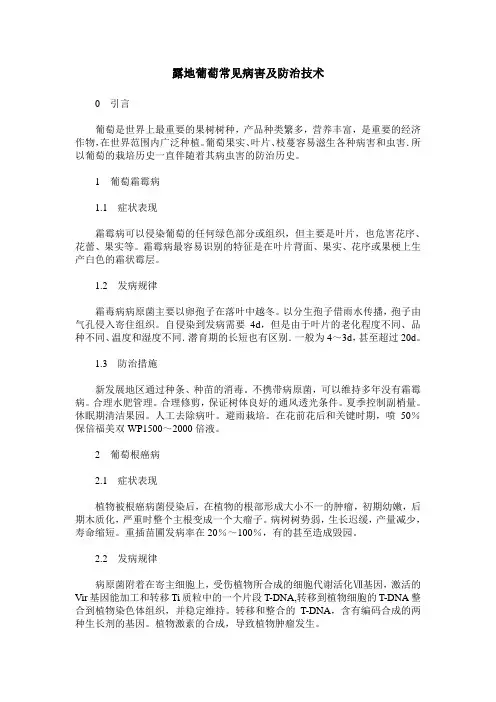 露地葡萄常见病害及防治技术
