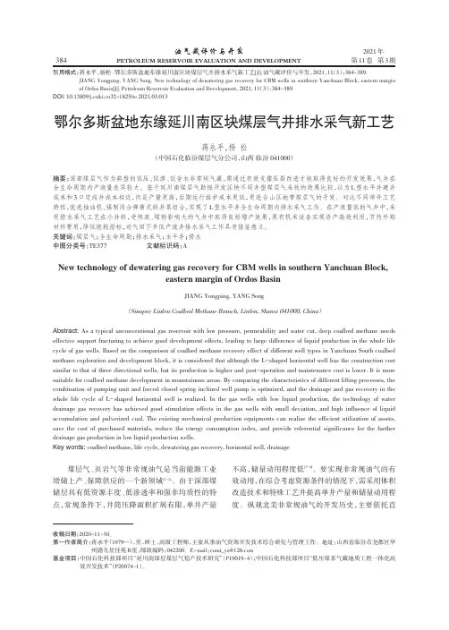鄂尔多斯盆地东缘延川南区块煤层气井排水采气新工艺