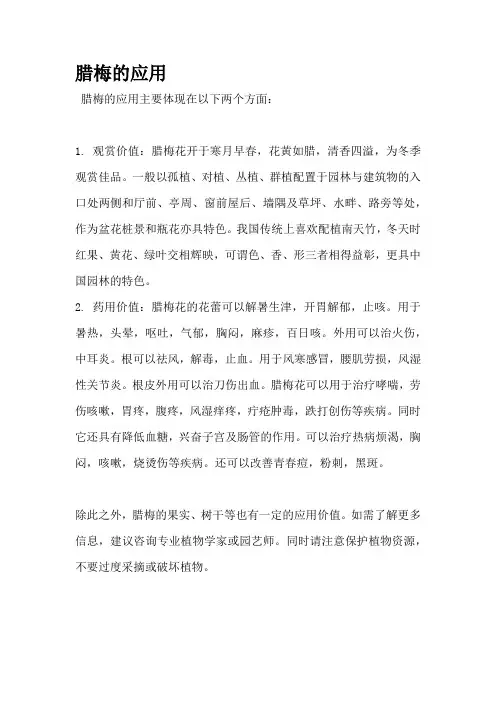 腊梅的应用