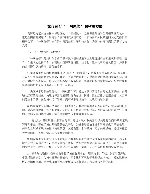 城市运行“一网统管”的乌海实践