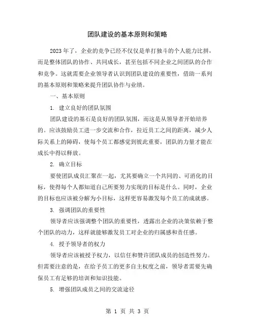 团队建设的基本原则和策略