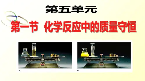 鲁教版初中化学课标版九年级全册第五单元第一节 化学反应中的质量守恒(共30张PPT)