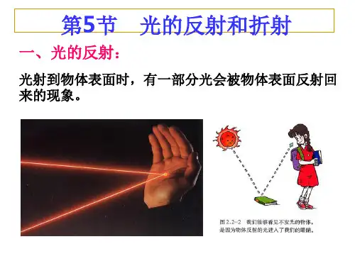 浙教版科学七年级下册 光的反射和折射 课件