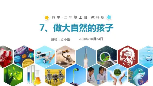 教科版小学科学二年级上册课件-7、做大自然的孩子PPT-附教案