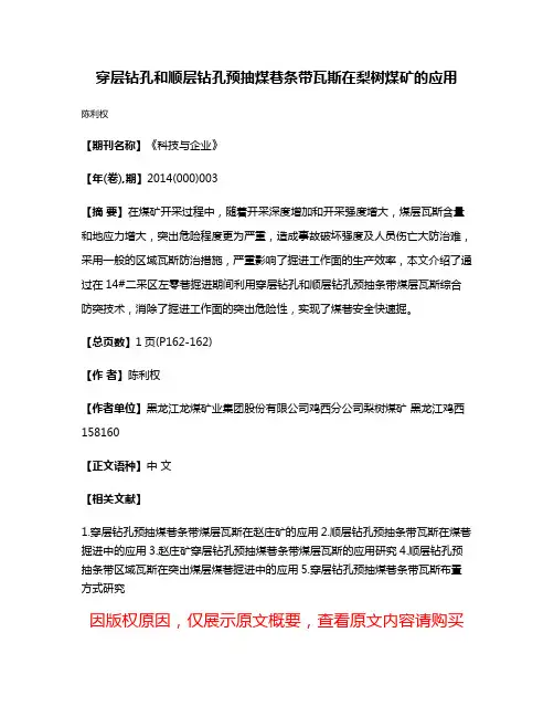 穿层钻孔和顺层钻孔预抽煤巷条带瓦斯在梨树煤矿的应用