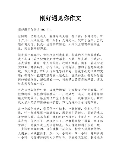 刚好遇见你作文