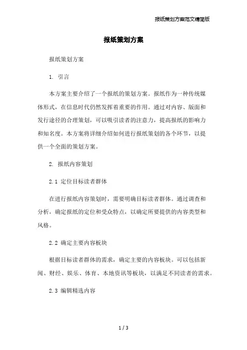 报纸策划方案范文精简版