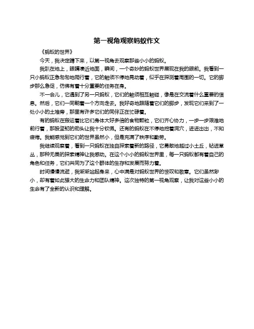 第一视角观察蚂蚁作文