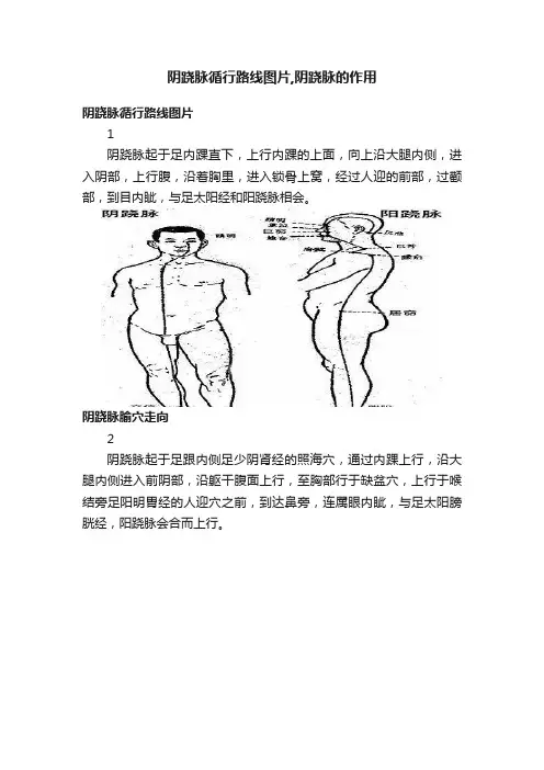 阴跷脉循行路线图片,阴跷脉的作用